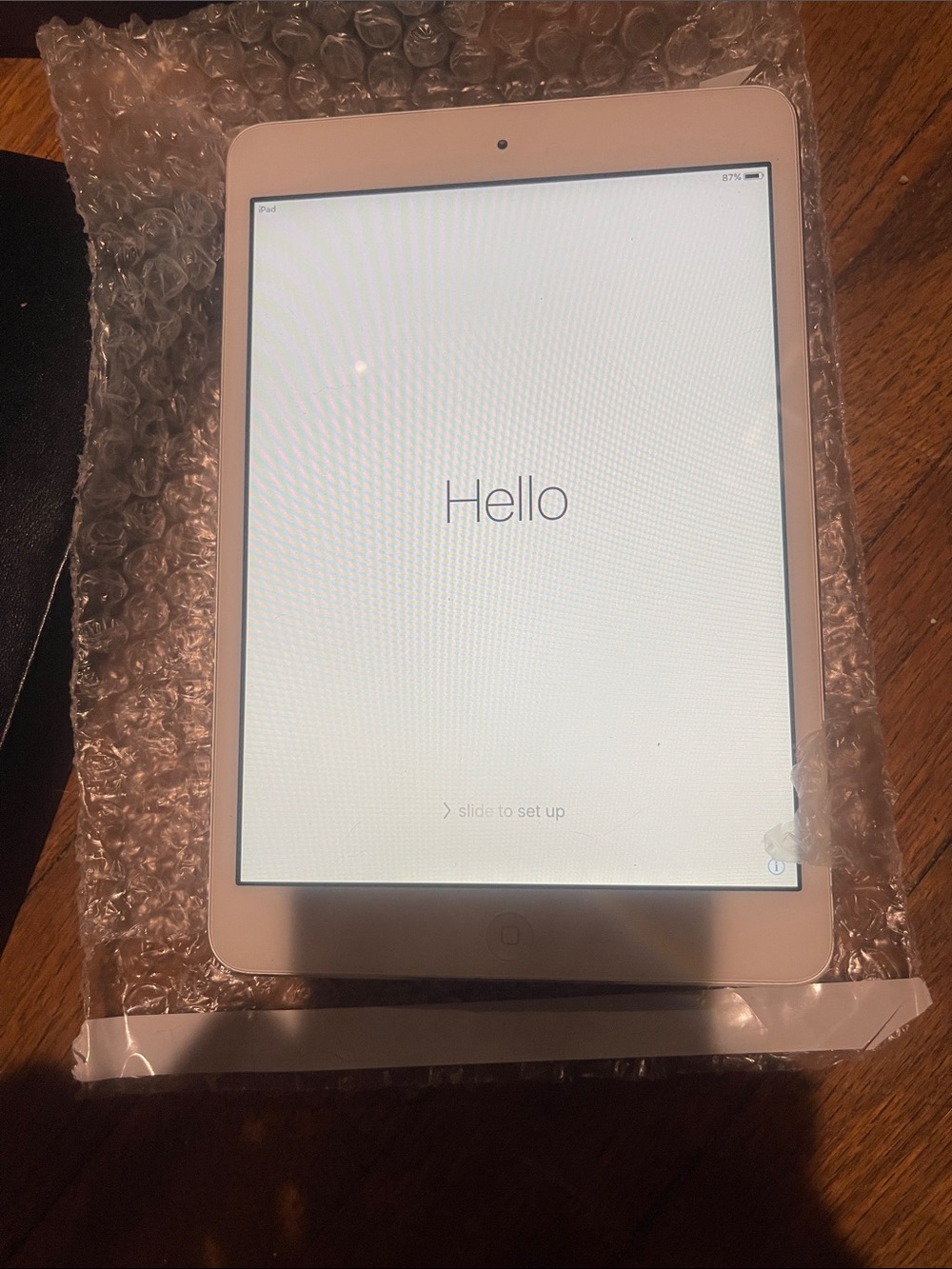 Apple iPad Mini in White Front Bezel